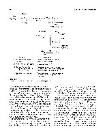 Bhagavan Medical Biochemistry 2001, page 665